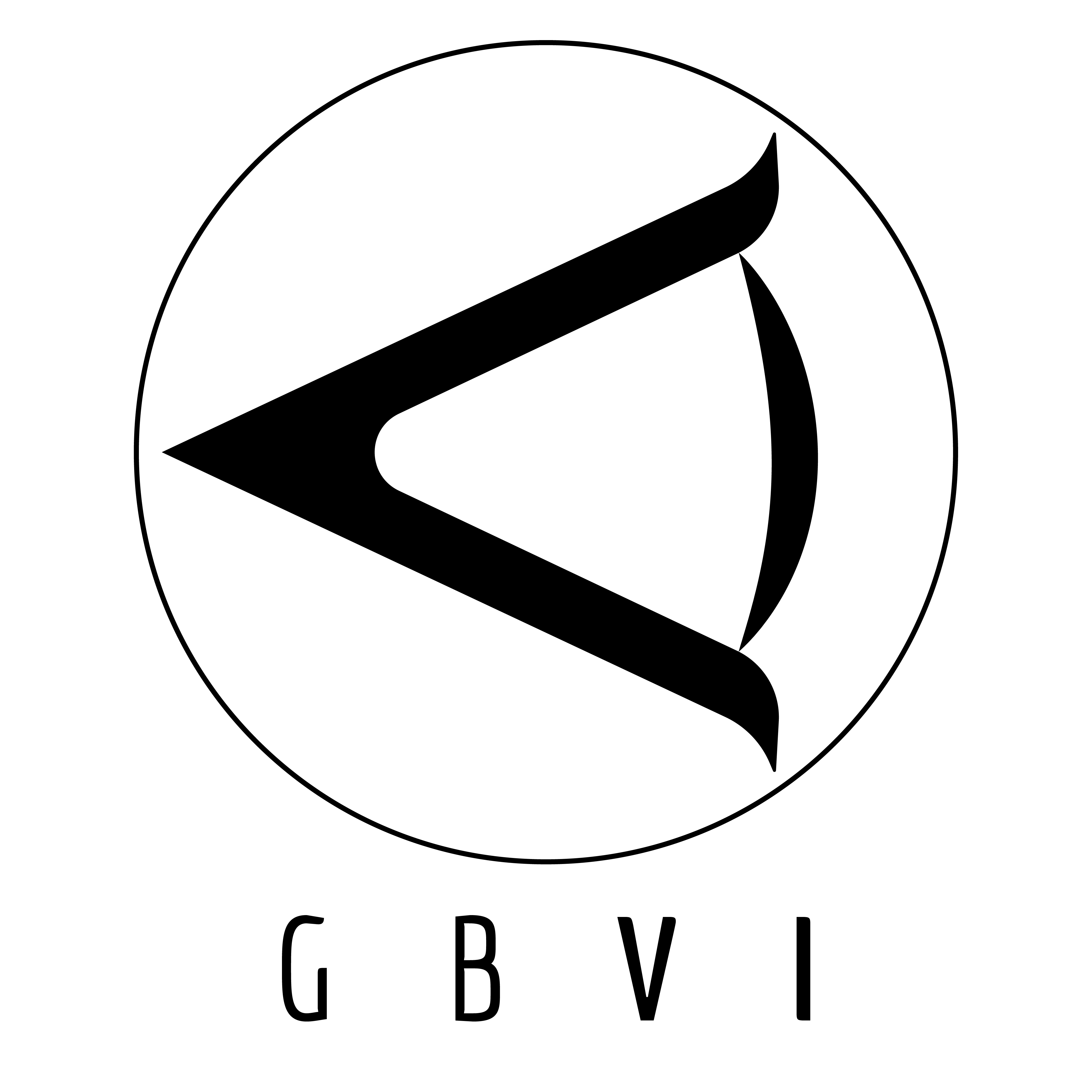 GBvi Ltd